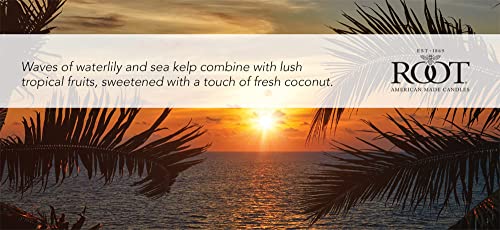 Scented Candles Honeycomb Traveler Premium Handcrafted Beeswax Blend Candle, 4-Ounce, Citron & Bergamot