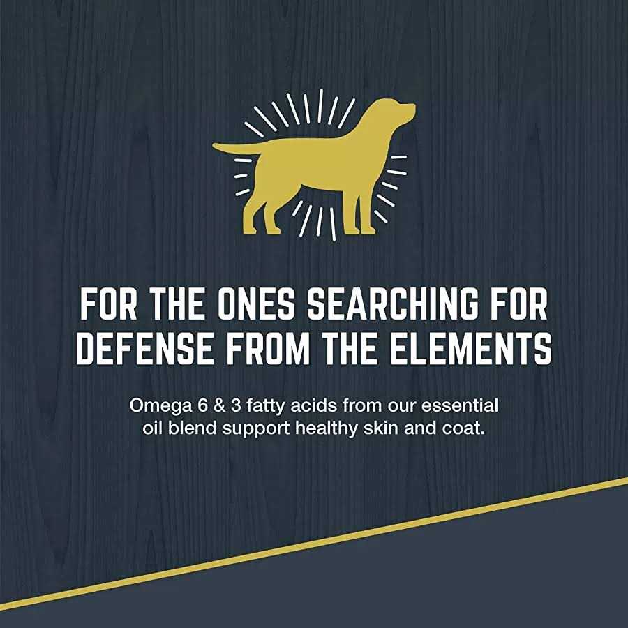 Black Gold Explorer Dry Dog Food Original Performance Formula - Pet Supplies online store