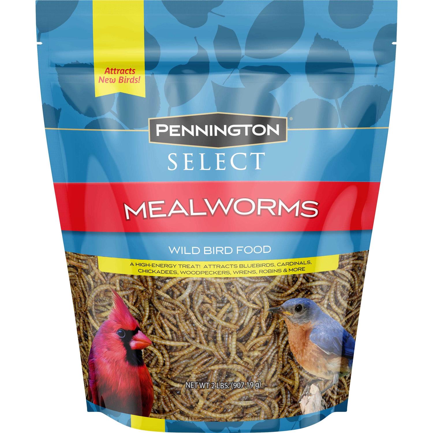 Pennington Mealworms Wild Bird Food - Pet Supplies online store