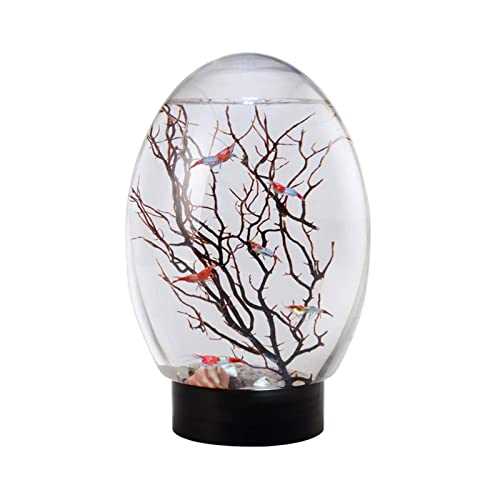 Mini Ecological Fish Tank, Closed Aquatic Ecosphere Desktop Aquarium with Led Base, Home Office Decor, No Need to Change Water (Color : Black) - Pet Supplies online store