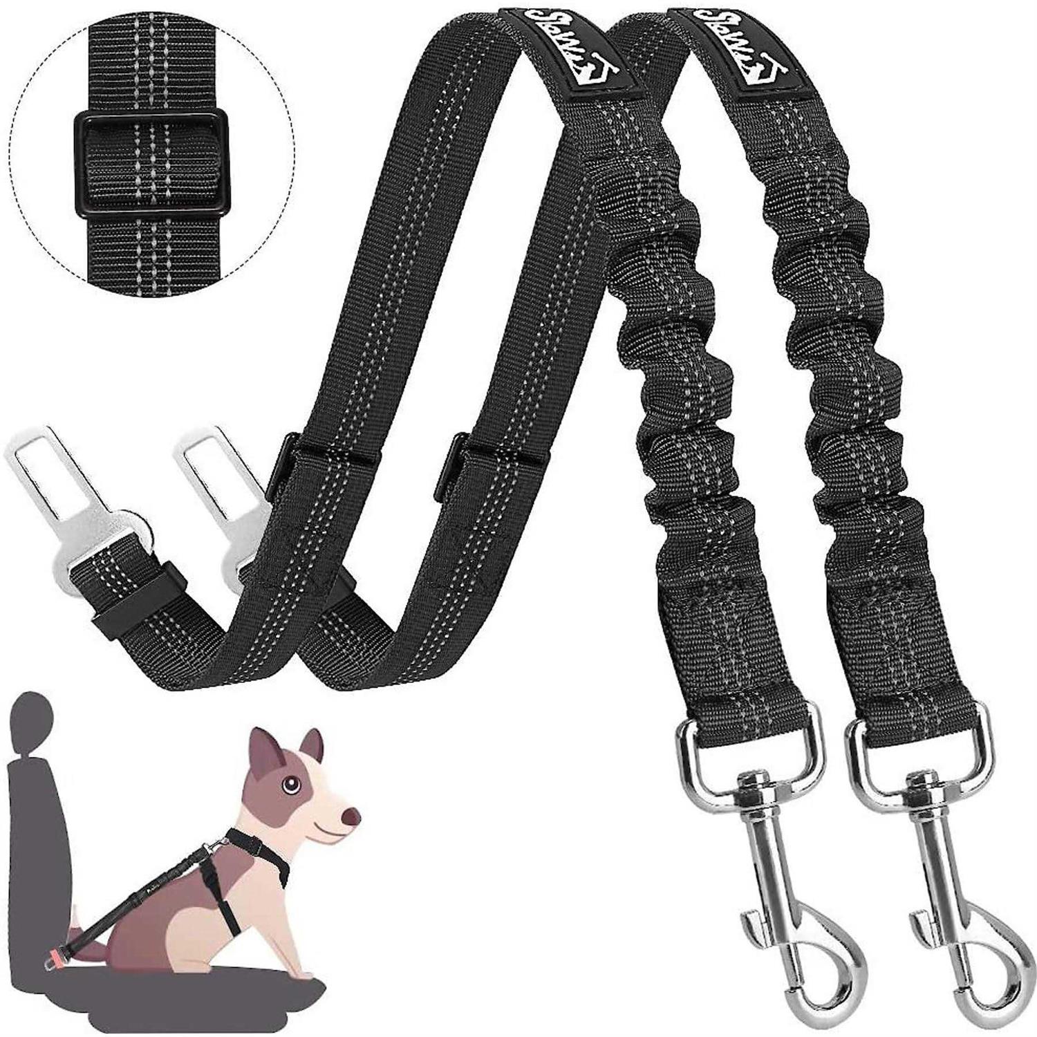 Pet Leashes