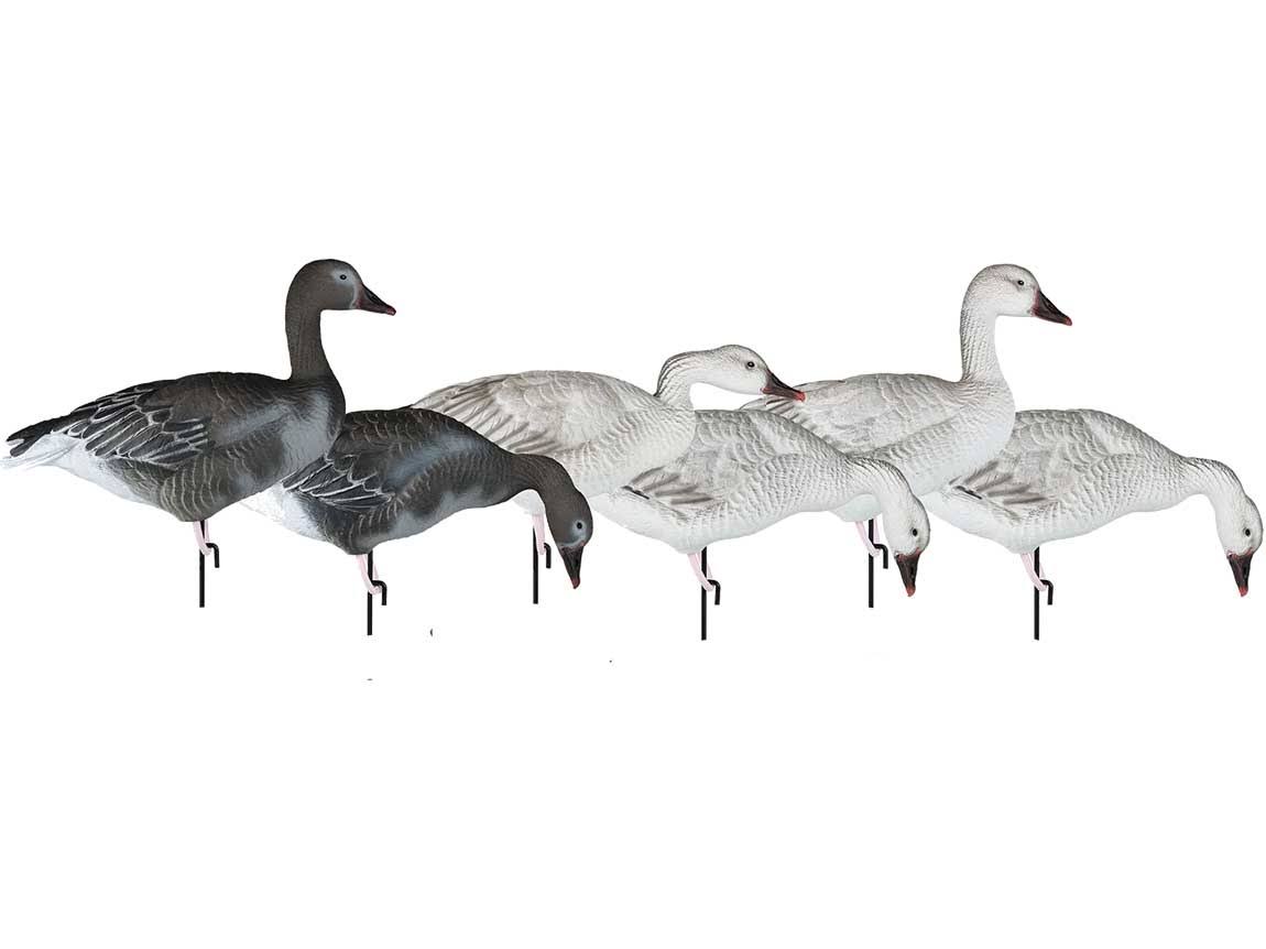 Dakota Decoy Migration Series Snow Juvies Goose Decoys - 6 Pack