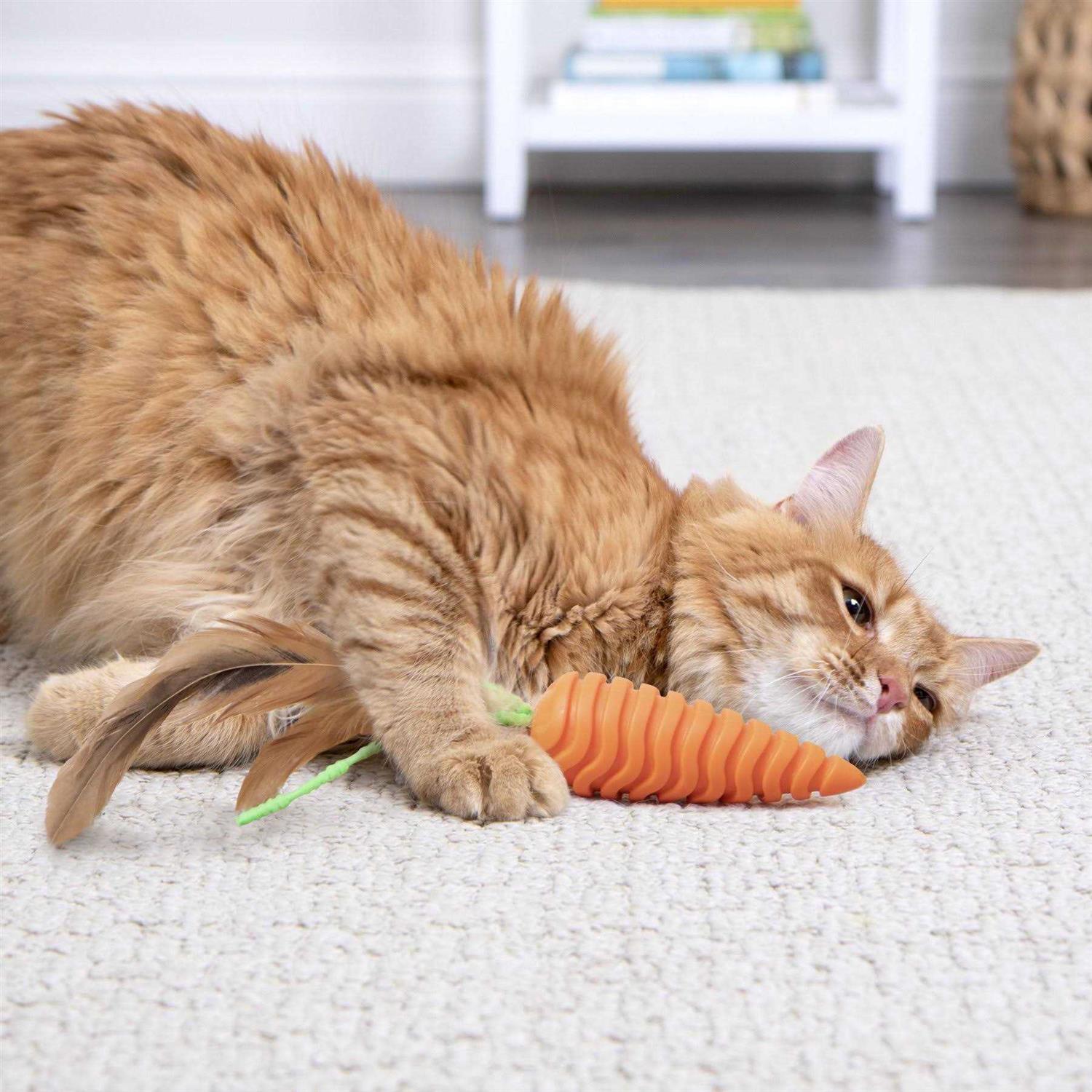 SmartyKat Clean Up Carrot Cat Grooming Toy - Pet Supplies online store