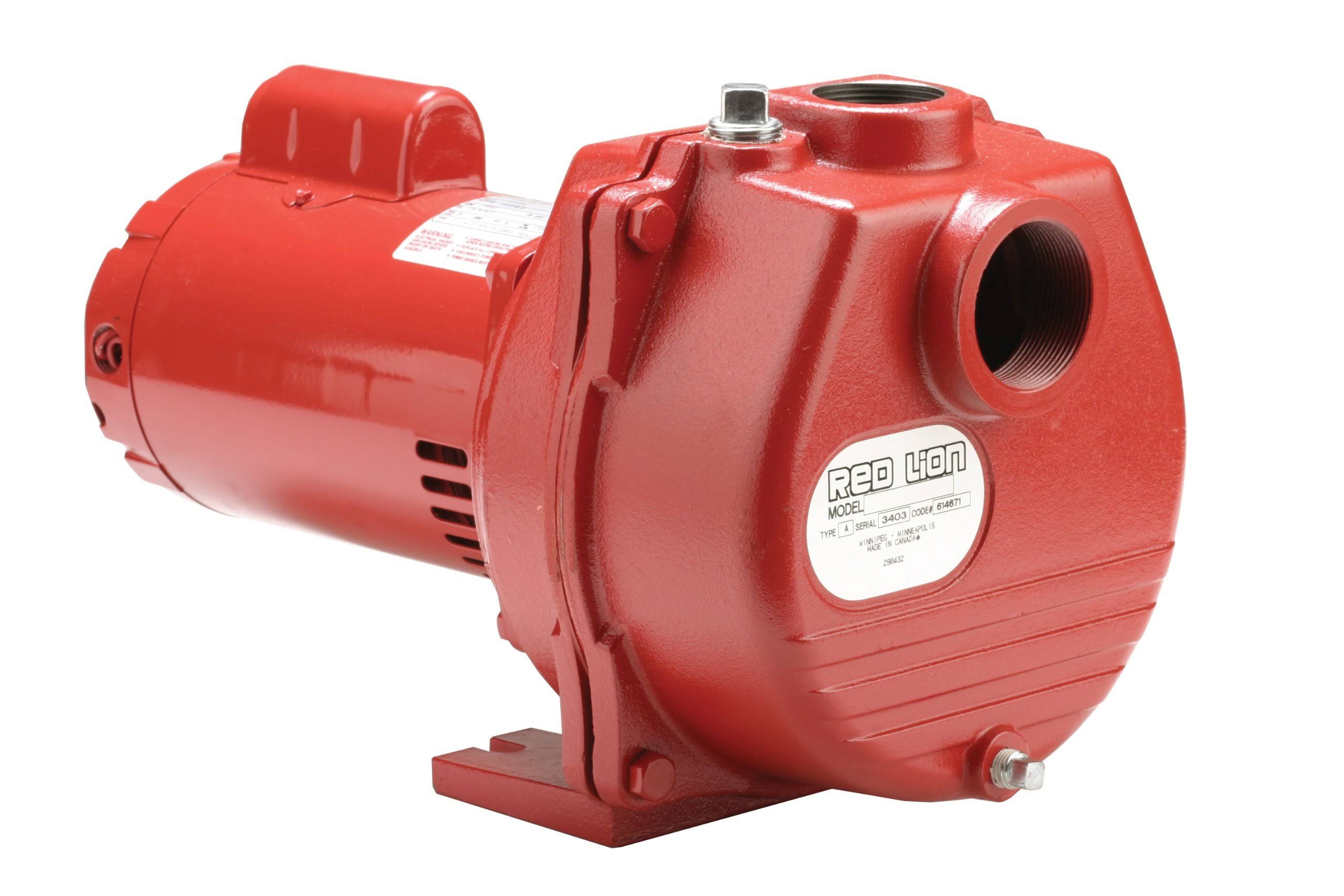 Red Lion RLSP-150BI 1.5-HP Self Priming Sprinkler Pump