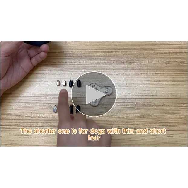 Bousnic Dog Shock collar 3300Ft Dog Training collar with Remote for 5-120lbs Small Medium Large Dogs Rechargeable - Pet Supplies online store