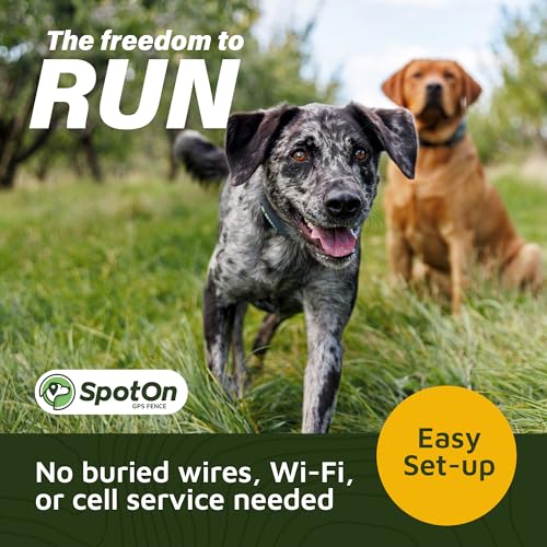 SpotOn Longer Battery Life, GPS Dog Fence, App Based Wireless Dog Fence Collar, Waterproof, Accurate & Reliable GPS Dog Fence System, Virtual Dog GPS Tracker for All Terrain Small/All Carriers