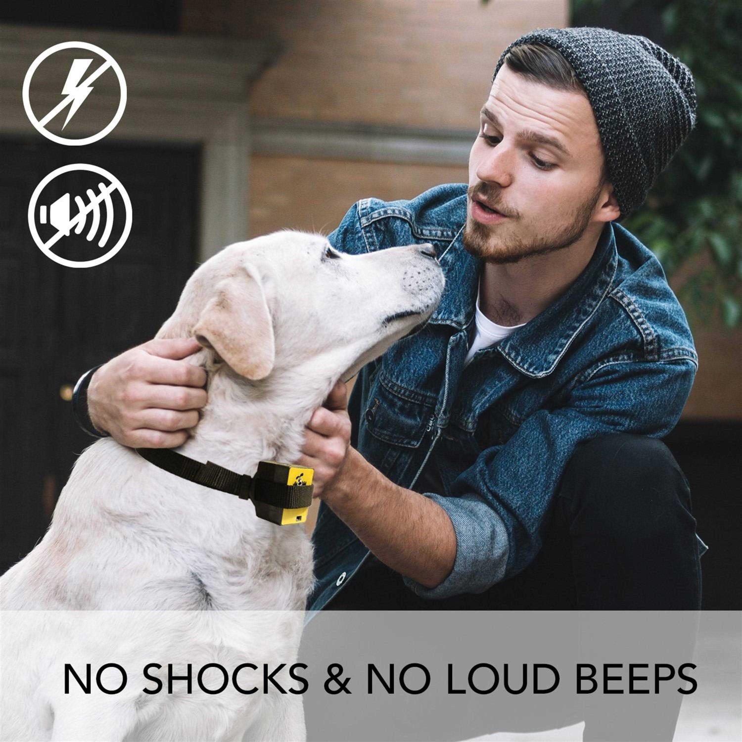 Downtown Pet Supply Citronella Bark Collar - Pet Supplies online store