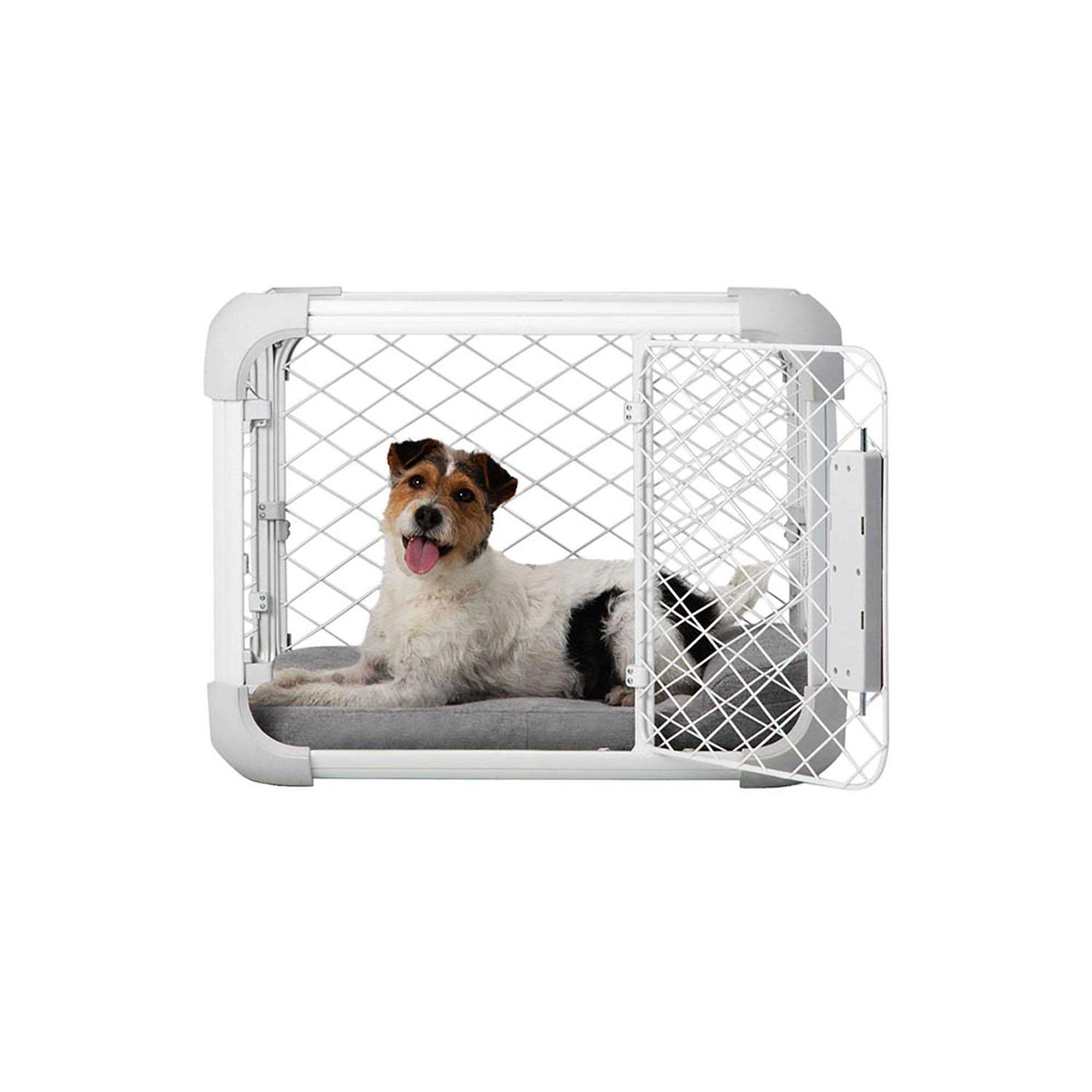 Diggs Evolv Dog Crate - Pet Supplies online store