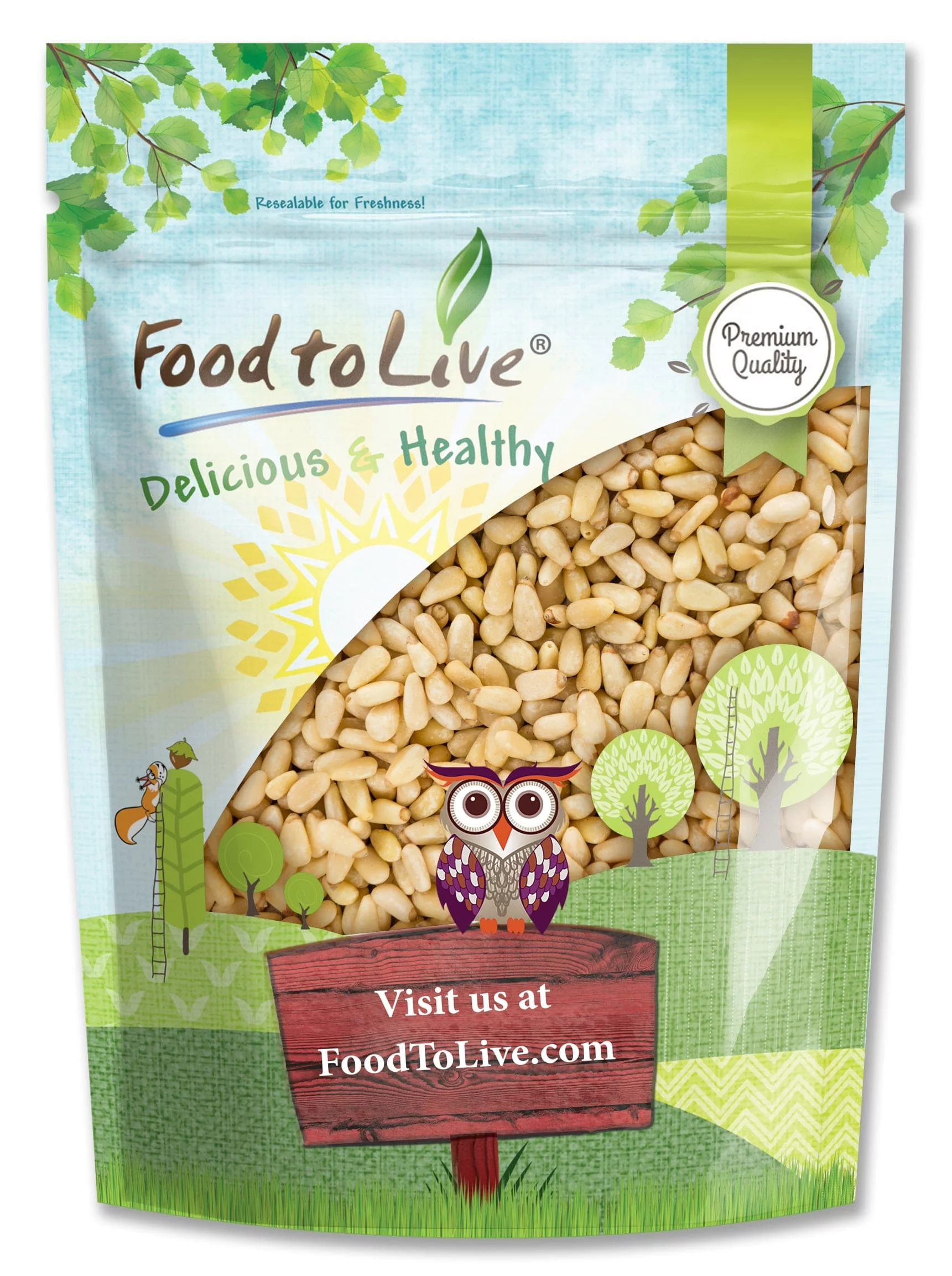 Food to Live, Pine Nuts, 1 Pound, Kosher