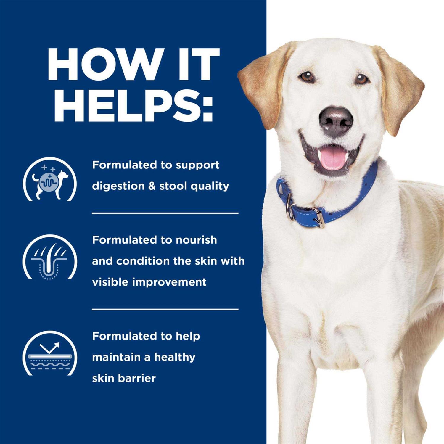 Hill's Prescription Diet d/d Potato & Duck Dry Dog Food - Pet Supplies online store