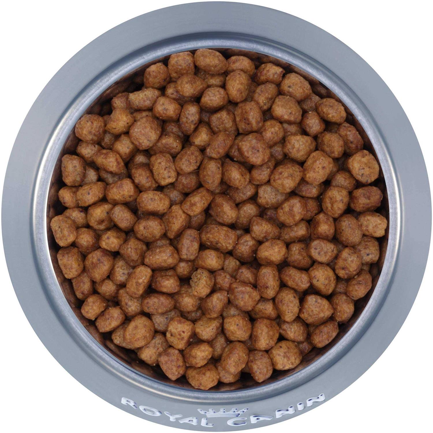 Royal Canin Breed Health Nutrition Chihuahua Adult Dry Dog Food - Pet Supplies online store