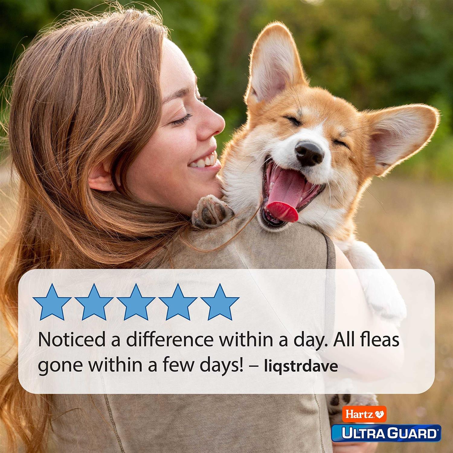 Hartz UltraGuard Flea & Tick Spray for Dogs - Pet Supplies online store