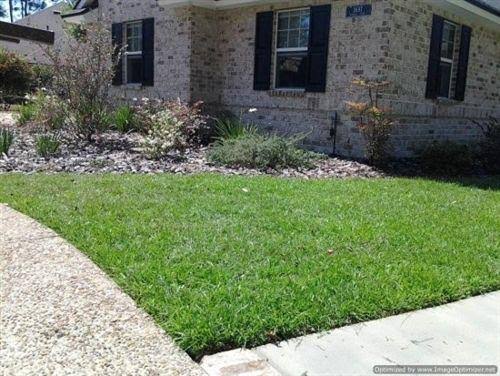 Centipede Grass Seed 100% Raw - 20 lbs.