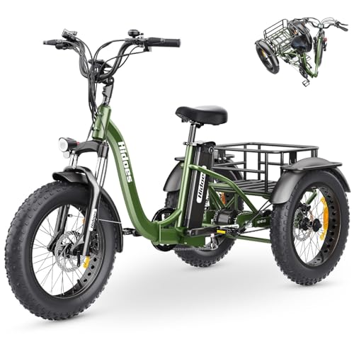 Hidoes 1000W Peak Electric Tricycle for Adults, 20