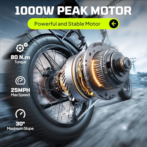 TST Folding Electric Bike for Adults, 1000W Peak Motor EBike with 36V 7.8Ah Removable Battery, Max Range 40 Miles 25 MPH Electric Bicycle, 20