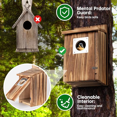 2 Pack Bird Houses for Outside with Metal Predator Guard for Bluebird Wren Swallow Finch, Carbonized Wooden Nesting Boxes for Outdoor, Sturdy Bird House,Easy to Clean
