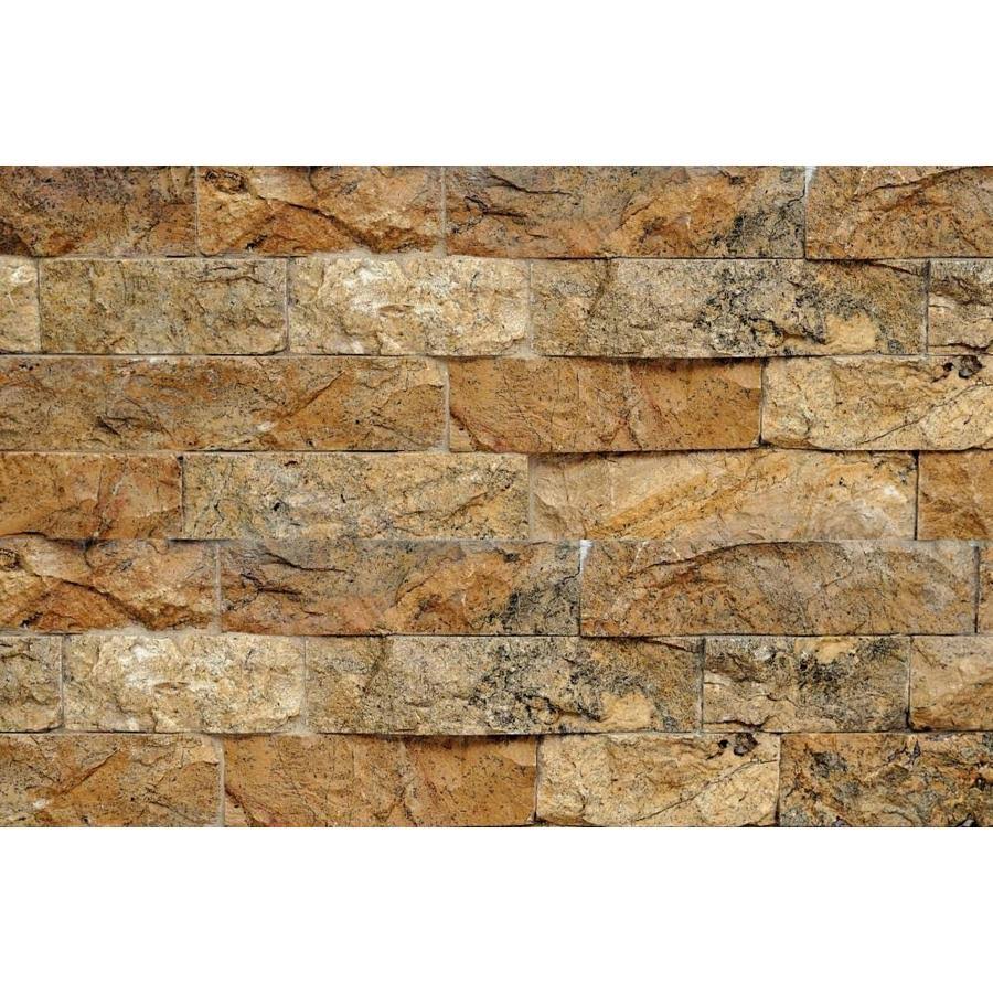 Natural Stone Veneer 50-sq ft Desert Sand Stone Veneer in Yellow | L56-12X24-RM-DS