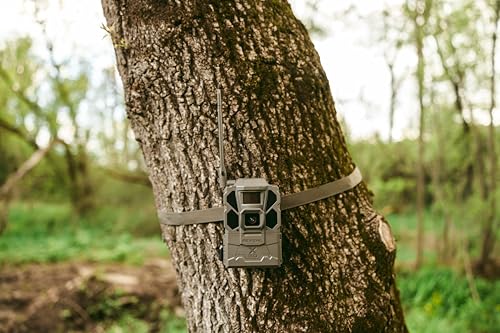 Tactacam REVEAL X Gen 3.0 Cellular Trail Camera - Multi Carrier, HD Photos & Videos, Pre-Installed Antenna, Built-in GPS, Best Battery Life, Low-Glow IR Flash, Fast Trigger Speed + 32GB SD Card (1 PK)