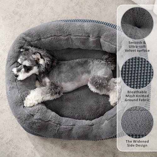 INVENHO Small Dog Bed for Small Dogs, Cat Beds for Indoor Cats Washable, Orthopedic Dog Bed, Warming Soft Calming Sleeping Puppy Bed Durable Pet Bed with Anti-Slip Bottom S(20