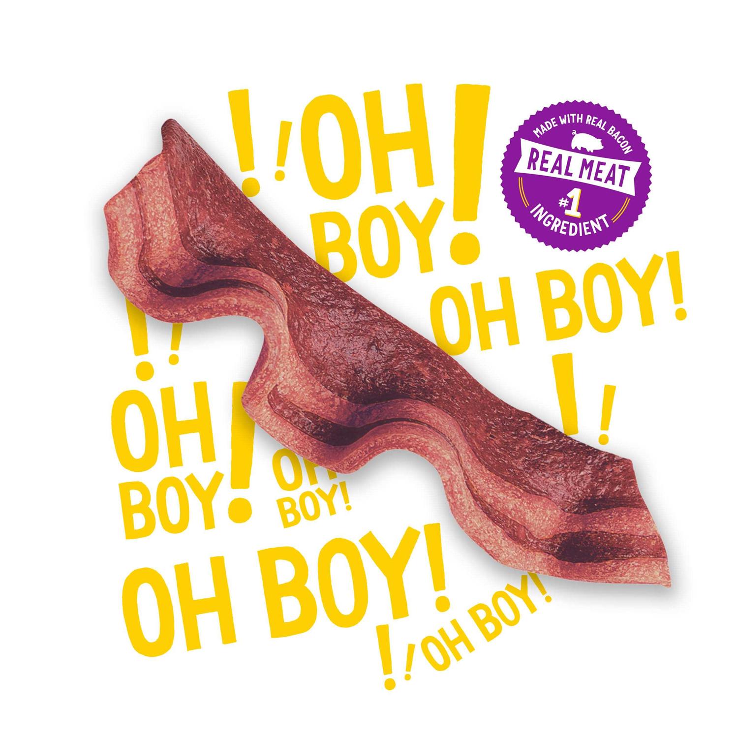 Purina Beggin Strips Bacon & Beef Dog Treats - Pet Supplies online store