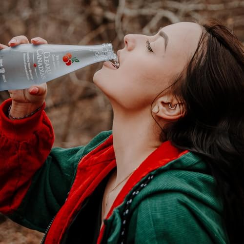 Clearly Canadian Mountain Blackberry Sparkling Water, 11 Fl Oz