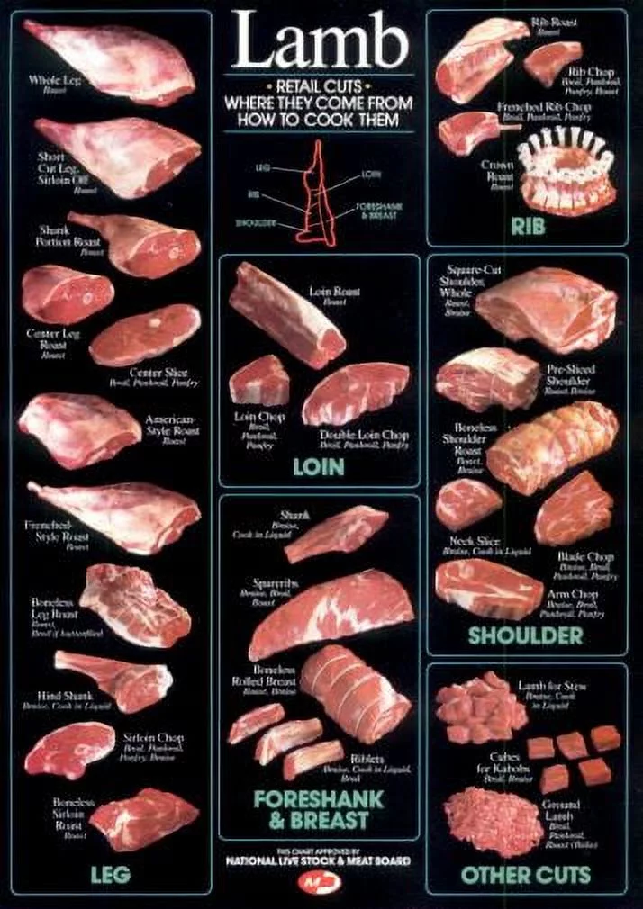 Lamb Cuts Cuts Of Meat Chart Poster 24x36 24inx36in Poster 24x36 Multi-Color Square Adults Z Posters