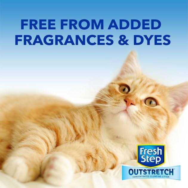 Fresh Step Outstretch Concentrated Clumping Cat Litter Unscented - Pet Supplies online store