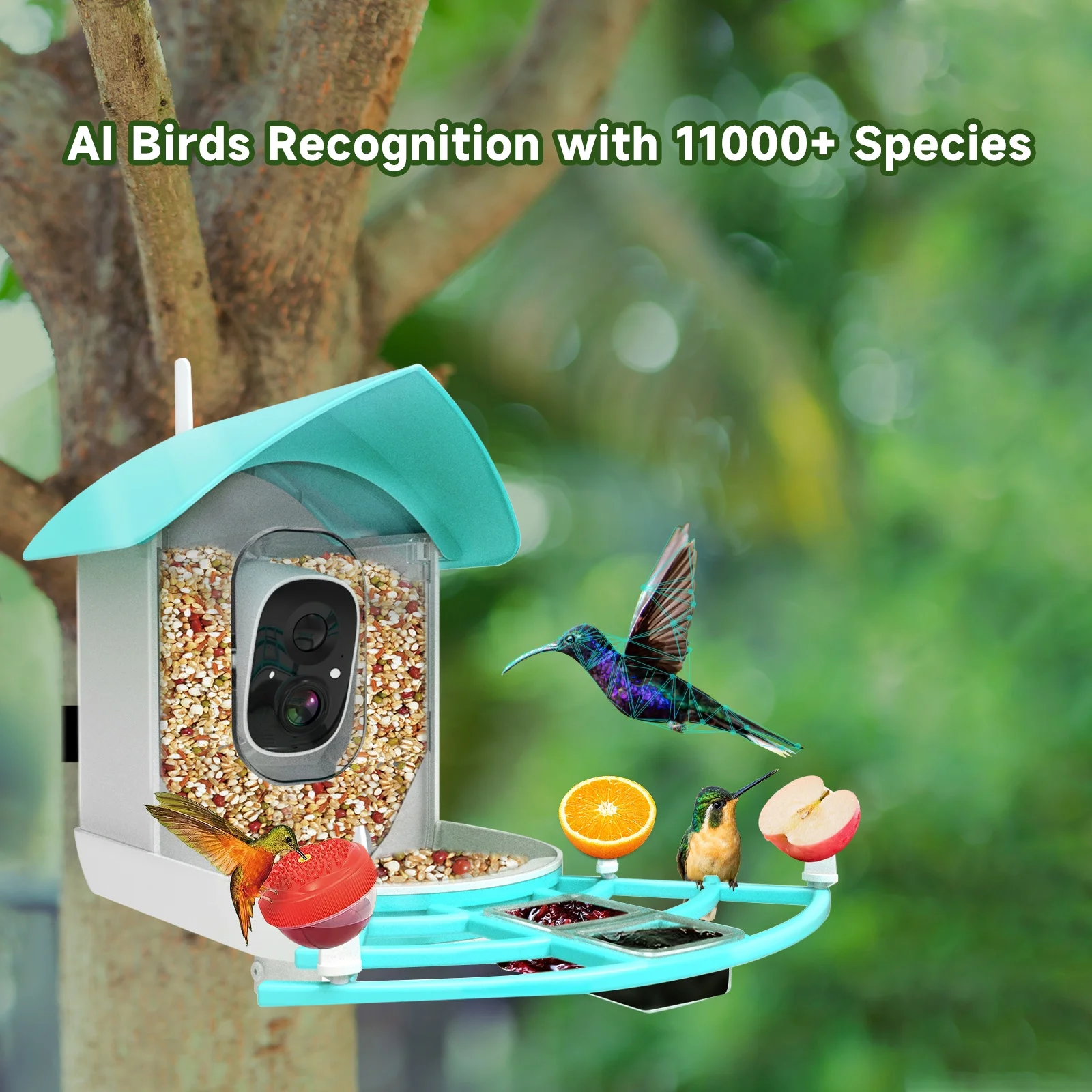 Smart Bird Feeder with Camera High Resolution PIR Motion Detection AI Intelligent Recognition Birds Species Solar Powered 1080P  Video Vico Home App 2.4G WiFi Wireless Waterproof Bird Feeder Camera