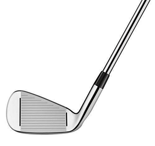 TaylorMade Golf RSI 2 Wedges Sw, Right Handed, Regular Graphite Shaft