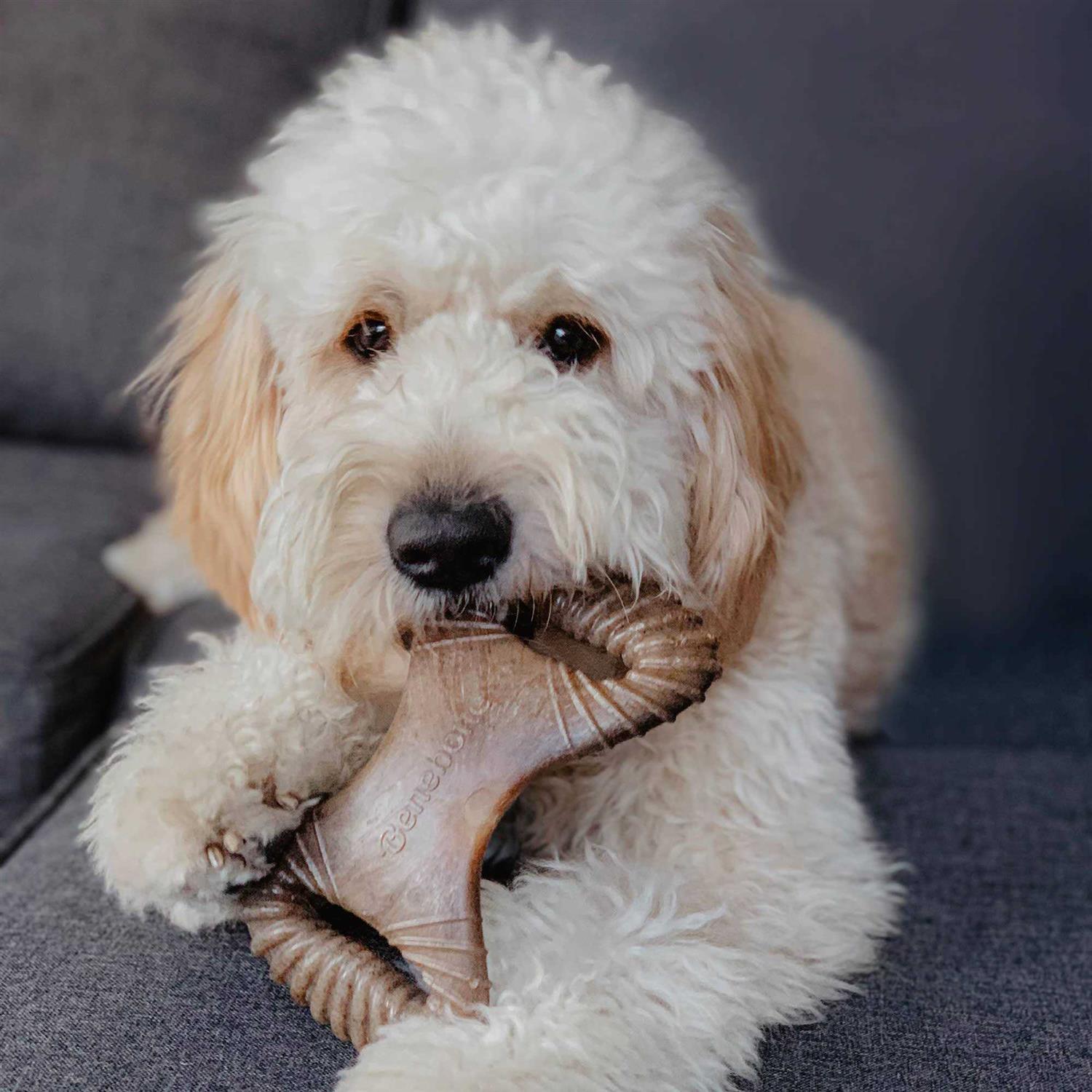 Benebone Dental Chew/Wishbone Bacon Dog Toy - Pet Supplies online store