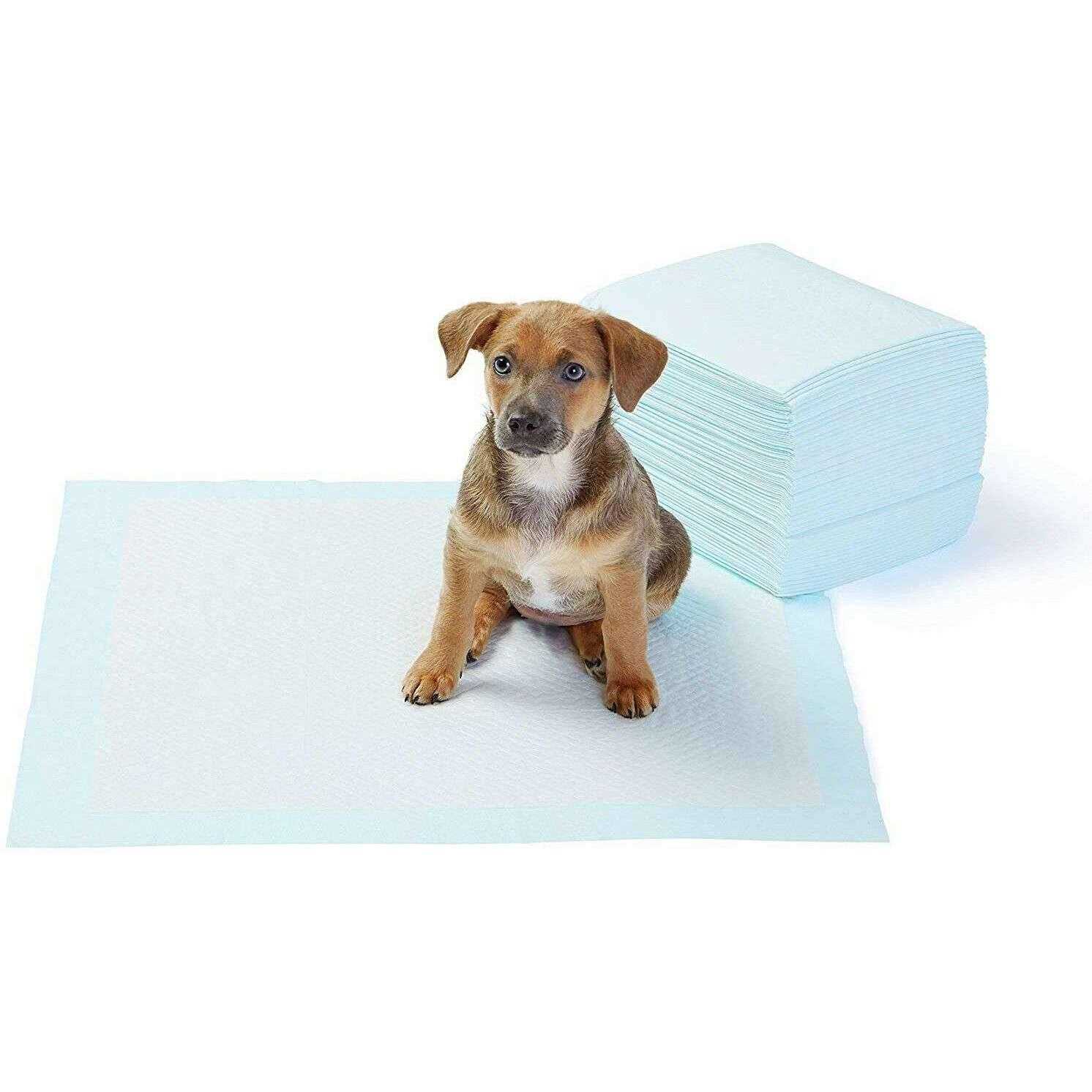Amazon Basics Dog and Puppy Pee Pads with 5-layer Leak-proof Design and Quick-dry Surface for Potty Training - Pet Supplies online store