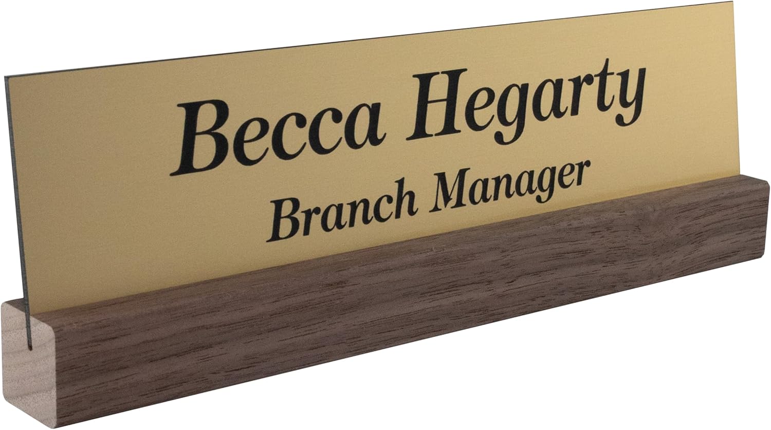 Office Desk Name Plate or Wall/Door Sign - 2x8 or 2x10 - Laser Engraved Sign - CUSTOMIZE. Holder/bracket available. Choose colors and fonts. Great gift idea.