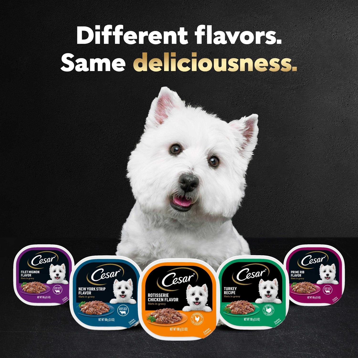 Cesar Gourmet Filets in Sauce Filet Mignon Dog Food - Pet Supplies online store