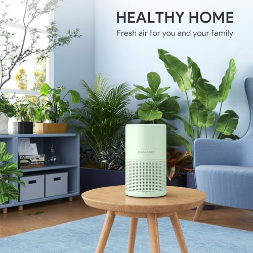 Air Purifiers for Bedroom, FULMINARE H13 True HEPA Air Filter, Quiet Air Cleaner With Night Light,Portable Small Air Purifier for Home, Office, Living Room