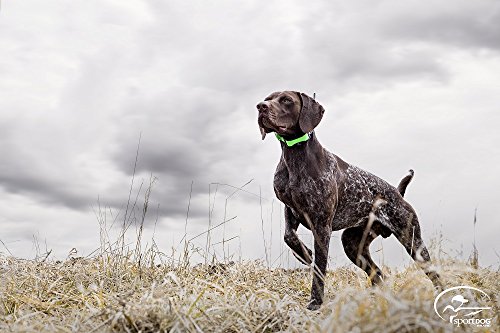 SportDOG Brand TEK Series 1.5 GPS Tracking System - 7 Mile Range - Waterproof and Rechargeable - Expandable to Locate up to 12 Dogs