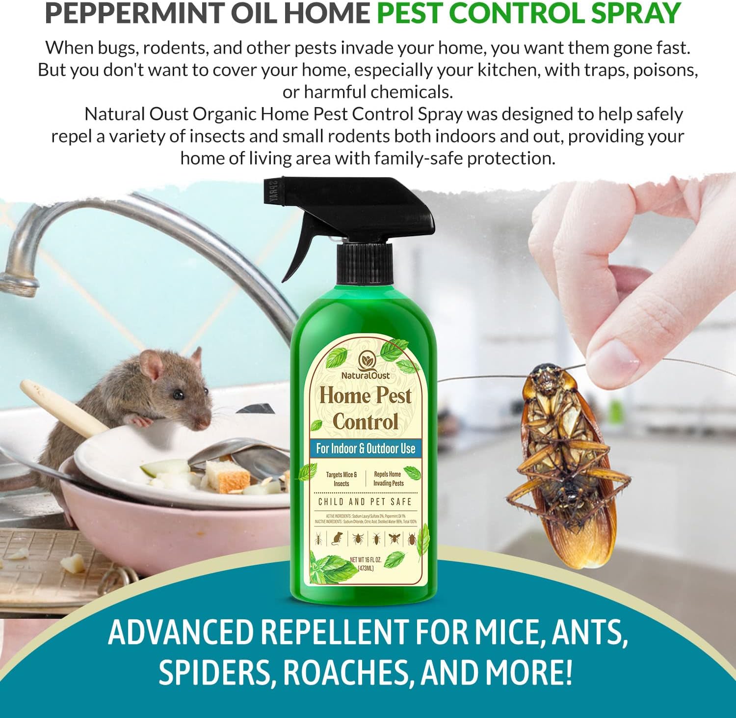 Peppermint Oil Mouse Repellent Spray - Roach Ant Spider Bug Insect Killer - Eco Friendly Pest Control to Repel Mice - Humane Repeller Alternative to Trap