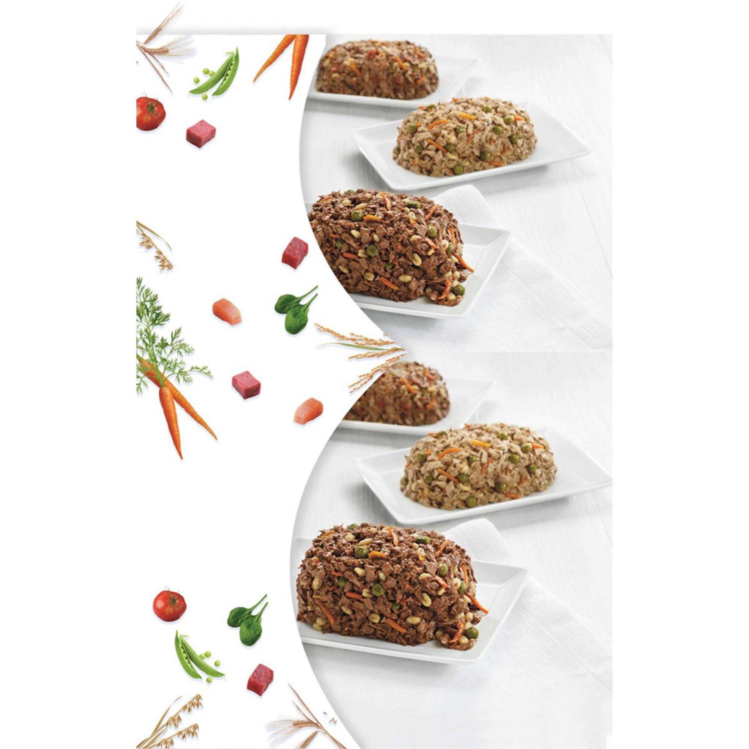 Purina Beneful Chopped Blends Variety Pack Wet Dog Food - Pet Supplies online store