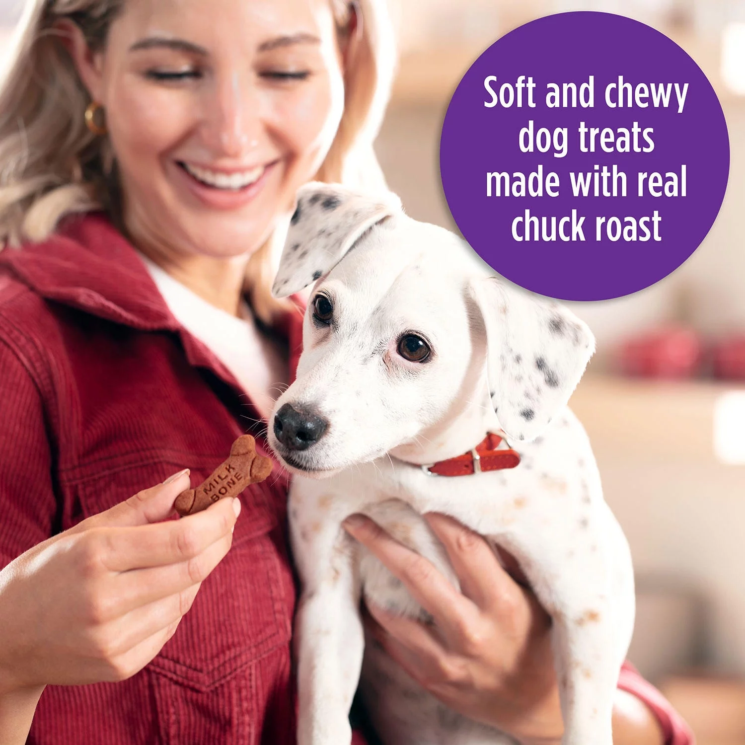 Milk-Bone Soft & Chewy Beef & Filet Mignon Recipe Dog Snacks (37 oz.)