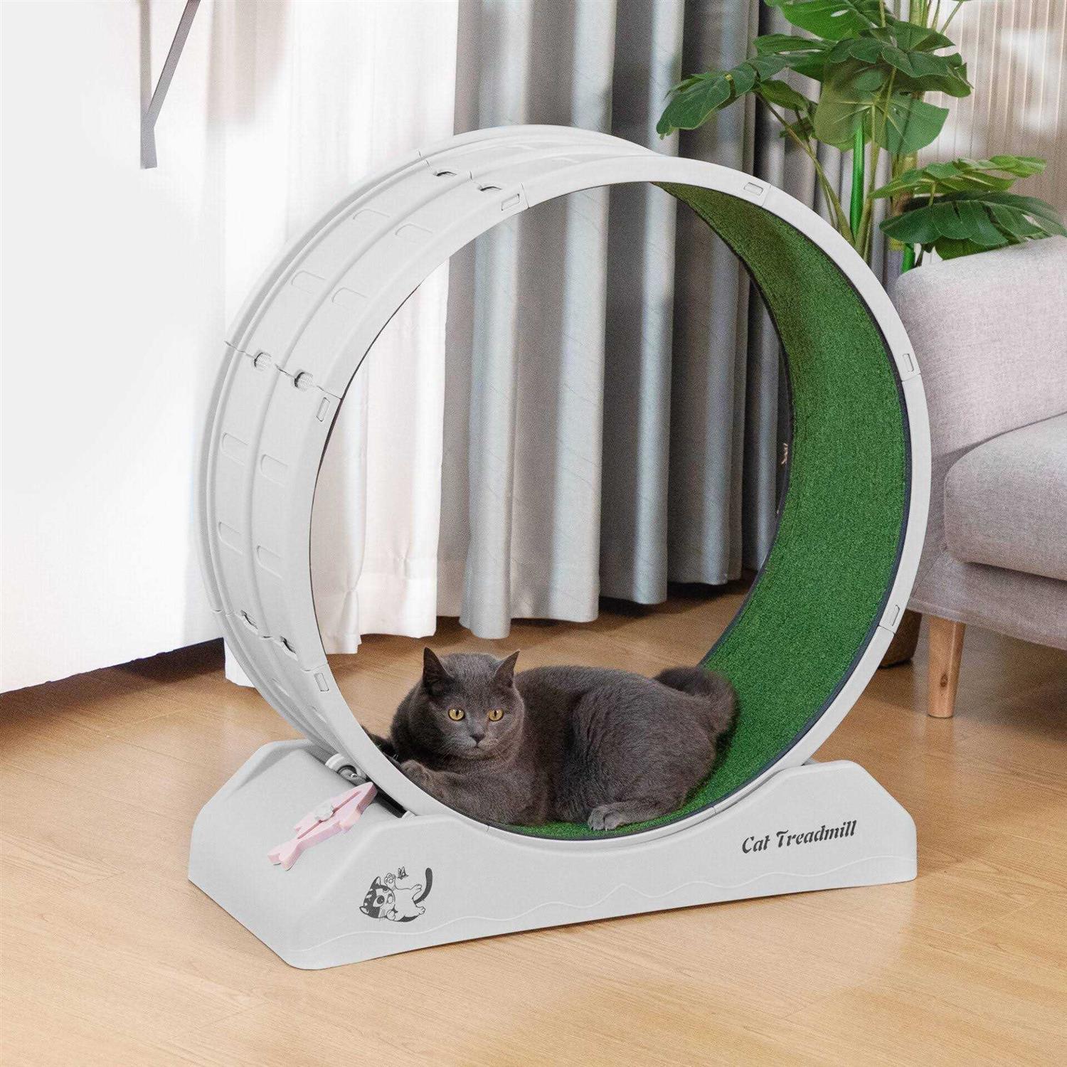 Coziwow31.5L Cat Exercise Wheel Indoor Cat Treadmill with Locking Mechanism - Pet Supplies online store