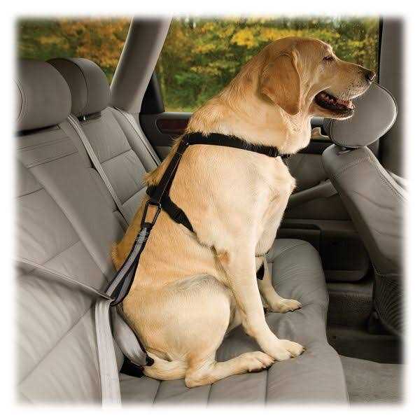 Kurgo Seat Belt Tether with Carabiner - Pet Supplies online store