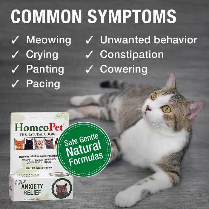 HomeoPet Feline Anxiety Relief - Pet Supplies online store
