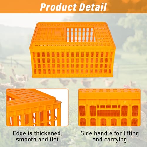 lukar 2PCS Poultry Carrier Crate Plastic Chicken Transport Crate Cage Heavy Duty Chicken Carrier Crates Transport Box for 10-13 Adult Chickens Duck Goose Birds, 29.5 x 21.7 x 13 Inch