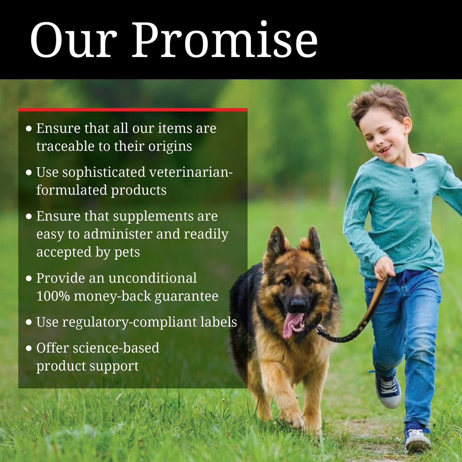 Nutri-Vet Hip & Joint Paw-Gel for Cats 3 oz - Pet Supplies online store