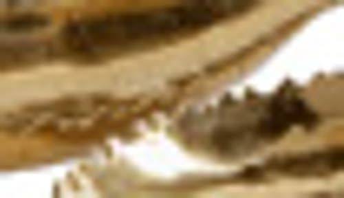 Venus Williams Large Metallic Gold Metal Boat Trays, Set of 3, 80755