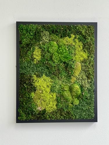 Unique Moss Art - Live Preserved Moss Wall Art - Moss Wall Wooded frame Art - Custom made - Home Decor - Well Decor - Office Decor. Handmade - Made in USA (31