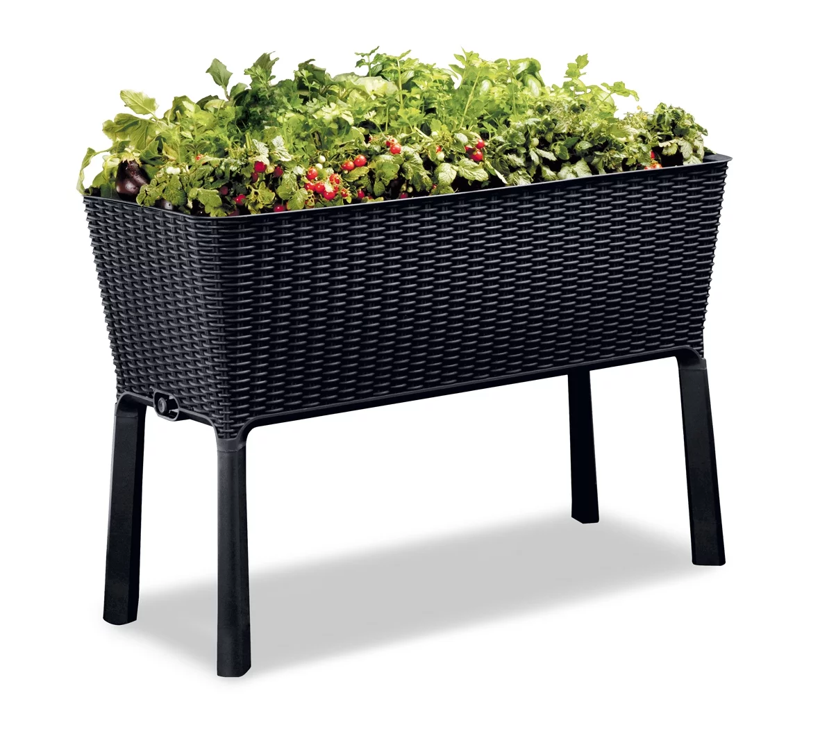 Keter Easy Grow Elevated Garden Bed, Anthracite
