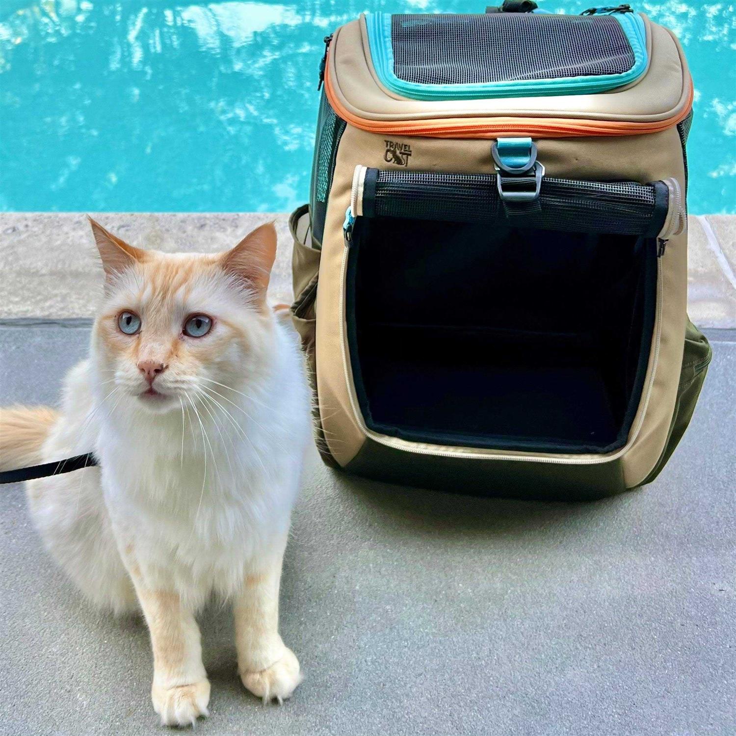 Your Cat Backpack The Navigator Earth Convertible Cat Backpack For Adventurous Cats and Humans - Pet Supplies online store