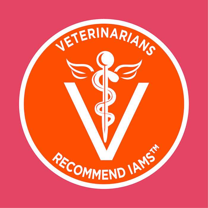 Iams Proactive Health Salmon Adult Dry Cat Food - Pet Supplies online store