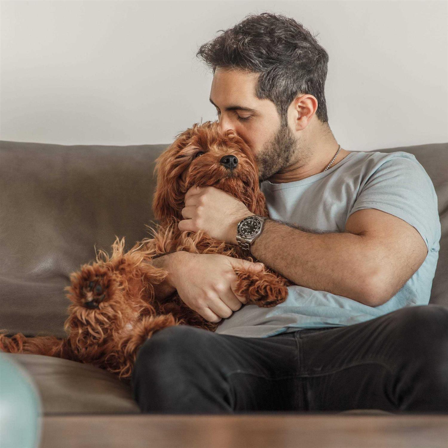 Jinx Salmon Sweet Potato Carrot Grain Free Dog Food - Pet Supplies online store