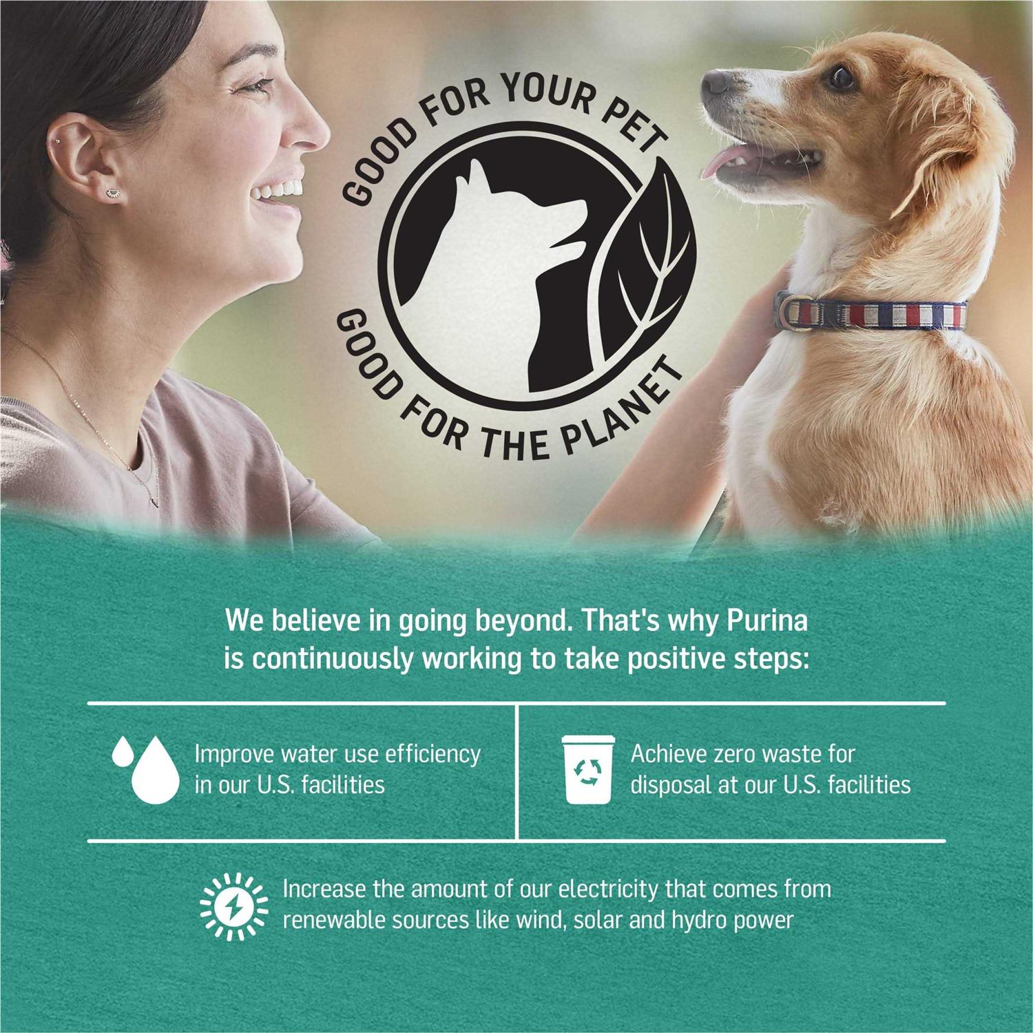 Purina Beyond Alaskan Cod Salmon & Sweet Potato Wet Dog Food Can - Pet Supplies online store